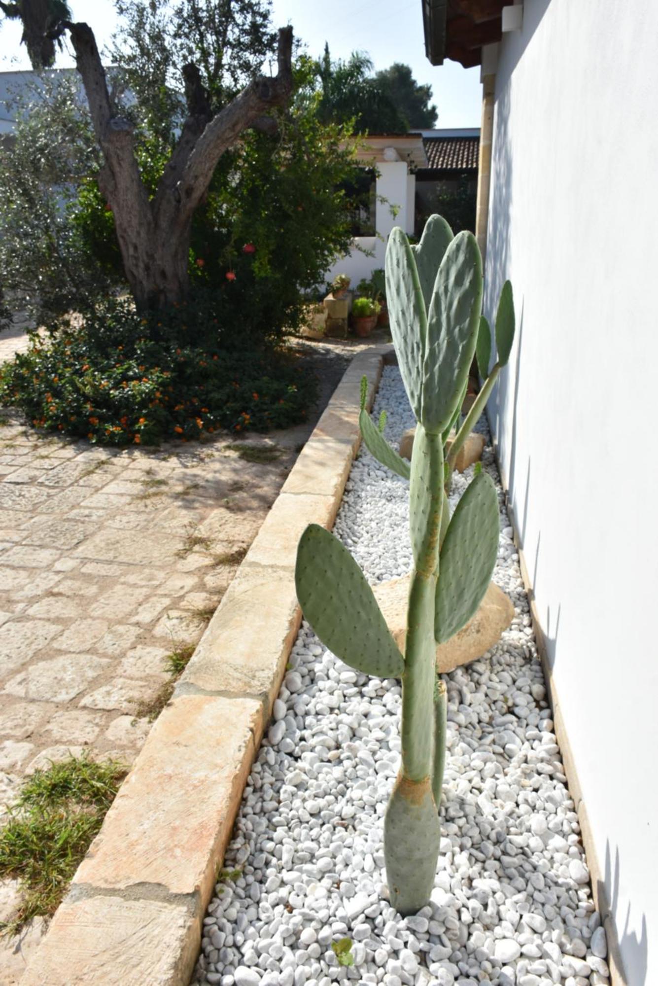 Masseria Tenuta Flora Maria Leverano Eksteriør billede
